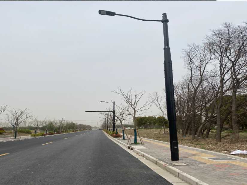 阳春市上海综合杆 太阳能路灯工程